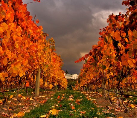 骚扰神器24小时轰炸免费