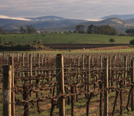 手机号测压平台